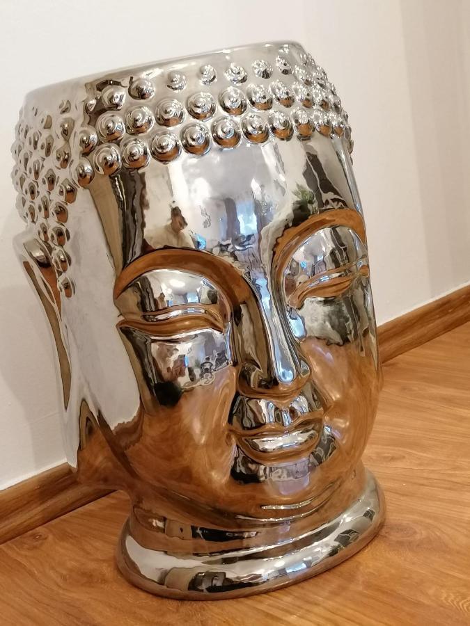 Masaryss Apartament טולצ'אה מראה חיצוני תמונה