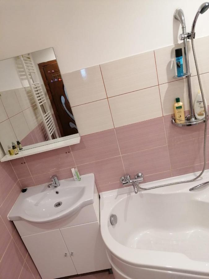 Masaryss Apartament טולצ'אה מראה חיצוני תמונה